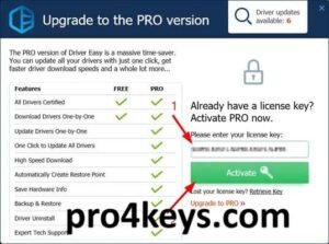 Driver Easy Pro Key + License Key [100% Working]