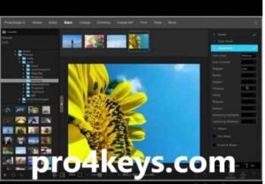 PhotoScape X Pro Download + Mac And Windows